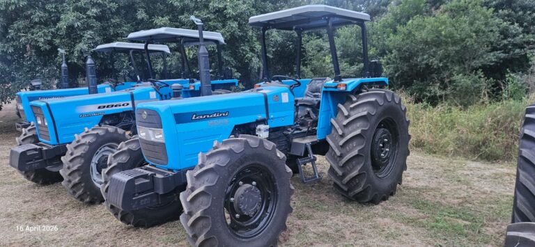 DT-Plat-Landini-8865
